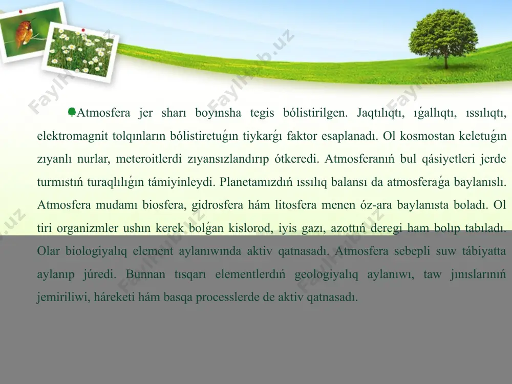 avtomobiller sanı 7% ten artıqtı quraydı. 400 mıńnan aslam awıl xojalıq texnikasında, temirjol transportı hám hawa transportında atmosfera pataslanıwı qadaǵalawı jolǵa qoyılmaǵan. bir qatar zıyanlı birikpeler boyınsha kórsetkishleri rem den joqarı bolǵan qalalardıń geyparalarında fotokimyoviy smog qáwipi bar. ózbekstan aymaǵında da «kislotali jawın»lar baqlanadı. ayırım waqıtlarda almalıq -oxangaron sanaat rayonınıń tásirinde shotqol qorıq jeri aymaǵında «kislotali jawın»lar belgilengenler etiledi. ózbekstanda atmosfera hawası pataslanishining aldın alıw ushın transportda :  benzin quramındaǵı qorǵasınǵa salıstırǵanda standart talapların kúsheytiw, etil qosılǵan benzinnen az-azdan pútkilley waz keshiwdi támiyinlew;  qısılǵan gaz hám dizel janar maysınan kóbirek paydalanıw ;  transport háreketin optimallastırıw ;  transport parkin jańalaw ;  elektr transportı, metronı rawajlandırıw ;  jasıl –qorǵaw zonaların shólkemlestiriw hám basqalardı ámelge asırıw zárúr bolıp tabıladı. ózbekstanda átirap -ortalıq jaǵdayın úyreniw, bahalaw hám boljaw sisteması -monıtorıń ámelge asıriladı. atmosfera hawasın pataslanıwı monıtoringi turaqlı postlar hám kóshpeli labaratoriyalar járdeminde ótkeriledi. ishki isler ministrligi avtotransportda ekologiyalıq …