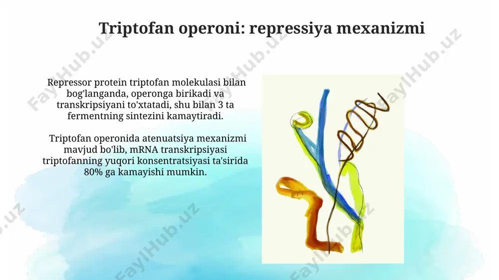 operon tizimi va hujayrada oqsil biosintezi regulyatsiyasi - Page 5