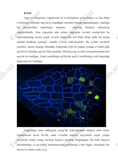 hujayralar va mikroskoplar — DOC