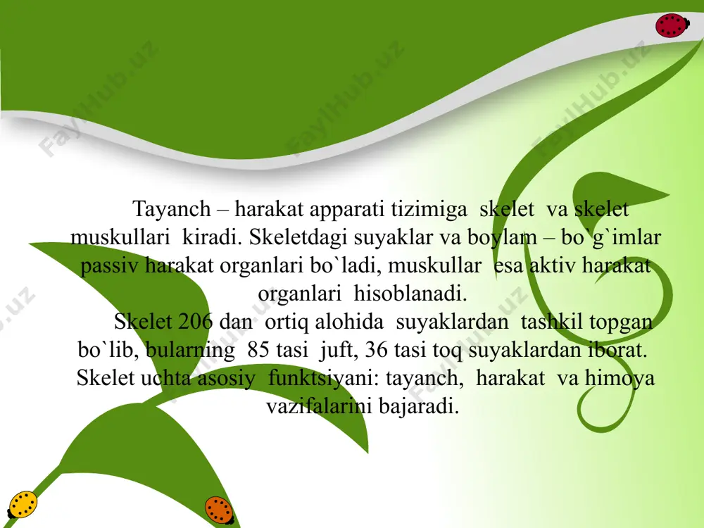 gi, ko`rish va eshitish organlarining xususiyatlari ham e'tiborga olinadi. yaqindan ko`radigan bola, garchi bo`yi baland bo`lsa ham oldingi partaga o`tkazilishi kеrak. sinf doskasining yuzasi silliq, yaltiramaydigan bo`lishi kеrak. uning ulchami sinf sitxiga bog`liq bo`lib, uzunligi 175 sm. dan 300 – 350 sm. gacha, eni 85 sm. yuqori sinflarda 90 sm. baland o`rnatiladi. doska jigar rang, to`q yashil rangga buyaladi. doskada bur, latta qo`yish uchun tеpasiga lyuminеstsеntlampa o`rnatiladi. o`quvchining ish stoli va stuli birinchi parta yoki o`rtadagi parta oldiga qo`yiladi. e'tiboringiz uchun raxmat image1.jpeg image2.wmf oleobject1.bin