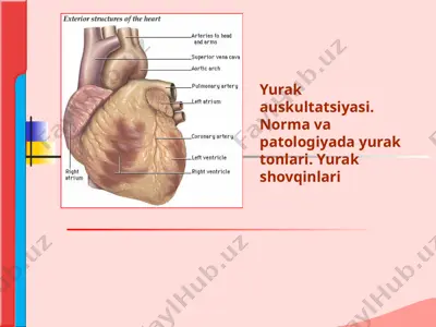 yurak auskultatsiyasi — PPTX