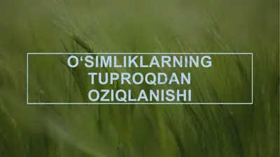 oʻsimliklarning tuproqdan oziqlanishi — PPTX