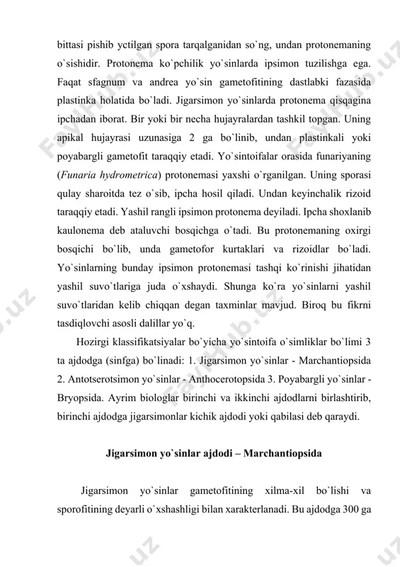 ntiidae 2 – kichik ajdod. yungermanniyakabilar-jungermanniidae. birinchi ajdod ikki qabilaga: sferokarpnamolar (sphaerocarpales) va marshansiyanamolar (marchantiales), ikkinchi ajdod esa uchta qabilaga: metutsiyanamolar (metzgeriales), xaplomitriyanamolar (haplomitriales) yungermanniyanamolar (jungermanniales) ga bo`linadi. marshansiyakabilar kichik ajdodi – marchantiidae bu kichik ajdodga 35000 dan ziyodroq tur kirib, ularni turli ckologik sharoitlarda shimoliy va janubiy yarimsharlarda uchratish mumkin. vegetativ tanasi dorzoventral shakldagi qattanadan iborat bo`lib, u o`z navbatida xlorofilsiz ko`p qavatli parenxima hujayralaridan hamda xlorofill assimilatsion to`qimadan tashkil topgan. qattananing qorin qismida esa ipsimon va silliq ipsimon rizoidlar hamda tangachalar joylashgan. marshansiyanamolar qabilasining keng tarqalgan vakili oddiy marshansiya marchantia polimorpha dir (3-rasm). marshansiyalar turkumiga mansub bu tur yer sharining turli mintaqalarida tarqalgan. u ko`proq zax yerlarda, o`rmonlarda o`sadi. yaproqsimon tallomining uzunligi 10 sm gacha yetadi. dixotomik shoxlangan, to`q yashil rangli. yaprog`ining ostki qismida oddiy va tilsimon rizoidlari va yaxshi taraqqiy etmagan barg boshlang`ichlari amfigastriyalar joylashgan. marshansiya vegetativ, jinsiy va jinssiz yo`llar bilan ko`payadi. vegetativ ko`payishi plastinkasining ustki …