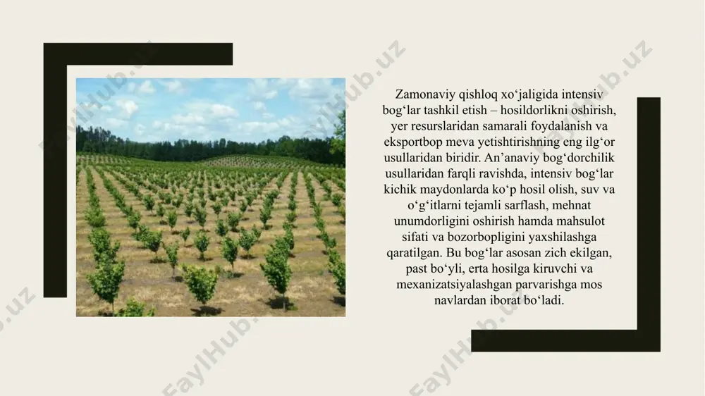 h imkonini beradi. bunday bog‘lar orqali nafaqat mamlakat oziq-ovqat xavfsizligi ta’minlanadi, balki mahalliy va xalqaro bozorlarda raqobatbardosh mahsulotlar yetkazib beriladi. shuning uchun intensiv bog‘larni tashkil etish bo‘yicha ilmiy yondashuv, zamonaviy texnologiyalar va tajribali mutaxassislar bilan ishlash – muhim omillardandir. bugungi kunda o‘zbekiston va boshqa qishloq xo‘jaligiga asoslangan mamlakatlar intensiv bog‘dorchilikka katta e’tibor qaratmoqda. bu yo‘nalishda davlat tomonidan imtiyozli kreditlar, subsidiyalar, yer ajratish, texnika va agrotexnika xizmatlari bilan ta’minlash ishlari bosqichma-bosqich kengayib bormoqda. ayniqsa, quyidagi yo‘nalishlarda intensiv bog‘lar tashkil etish ustuvor hisoblanadi: eksportga mo‘ljallangan mahsulot yetishtirish: mevalarning sifati, saqlanishi va tashishdagi chidamliligi bozor talablariga mos bo‘lishi kerak. yarim cho‘l va qurg‘oqchil hududlarda tomchilatib sug‘orishga asoslangan bog‘lar barpo etish: bu suvdan unumli foydalanish imkonini beradi. ko‘p yillik hosil beruvchi navlardan foydalanish: barqaror va uzoq muddatli daromad manbai yaratiladi. intellektual (raqamli) bog‘lar tashkil etish: iqlim, namlik, oziqlanish va boshqa holatlarni masofadan turib boshqarish imkonini beradi. intensiv bog‘lar – qishloq xo‘jaligi ishlab chiqarishida samaradorlikni …