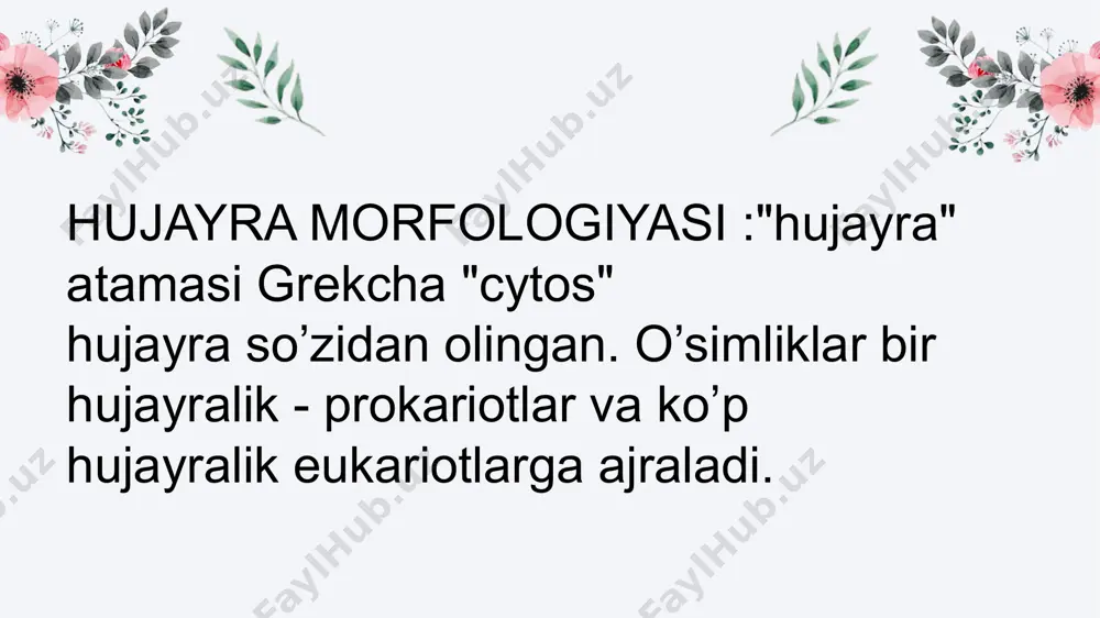 t uchlamchi qavat deyiladi. hujayra hujayra hujayra membranasi. hujayraning tashqi muhit bilan bo’ladigan almashuv munosabatlari va protoplast ichida ro’y beradigan hayotiy jarayonlar maxsus membrana sistemasi orqali amalga oshadi. protoplast va undagi organoidlar membrana qavati bilan qoplangan. ya’ni har bir organoid ham protoplazma kabi o’zining membranasi bilan xarakterlanadi. ana shu membranasi yordamida sitoplazmadan ajralib turadi. hujayra membrananing asosiy kimyoviy tarkibi juda murakkab bo’lib, u asosan lipidlar va oqsillardan iborat. lipidlar tarkibiga asosan fosfo-, sulfo- va glikolipidlar kiradi. biomembranalar qatlami 6-10 nm ga teng bo’lib,asosan lipidlarning qo’sh qavat molekulalaridan tuzilgan va oqsil molekulalari uning qatlamlari orasiga joylashgan. membrananing elementar tuzlishini kopi modeli asosida ko’rsatish mumkin ( 3-rasm). bu modelga ko’ra, membrana hajmi polyar lipidlarning qo’sh qavat molekulalaridan tuzilgan va oqsil molekulari uning qatlamlari orasiga joylashgan. hujayra hujayra yadro. yadro o’simlik hujayrasining eng muhim organoidlaridan biridir. dumaloq yoki oval shaklida va ba’zi hollarda esa duksimon, ipsimon bo’lishi mumkin. o’simlik hujayrasi yadrosining o’lchami o’rtacha …