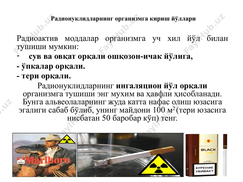 кўрсатади. исботланишича, ген-супрессорларнинг инактива-циясидан протоонкогенларга нисбатан антагонистик таъсири йўқолади, натижада айрим онкологик касалликларнинг келиб чиқишига олиб келади. мас-н, хромосомадаги ген-супрессор сақловчи қисмнинг йўқолиши, бир қатор, жумладан, ретинобластома, вильмс ўсмасига олиб боради. 9 канцерогенез факторлари кимёвий омиллар- ўпка раки, йўғон ичак, жинсий орган саратони касалликлари келиб чиқади. физикавий омиллар- оғиз-бўшлиқ саратони, тери саратони, қизилўнгач саратони касалликлари келиб чиқади. биологик омиллар- бачадон бўйин саратони, жигар саратони, капоши саркома ривожланишидан –вич касаллиги келиб чиқади. ирсийланган омил ёки саратонга ирсий берилувчанлик 200 дан ортиқ ирсий касалликлар ҳар хил ўсма касалликларининг ҳосил бўлишига олиб келиши аниқланган. днк репарация системасидаги туғма дефектлар турли хилдаги шиш ёки ўсмаларнинг ривожланишига олиб келади. радиацион канцерогенез канцероген омиллар—куёш нурла-ри, рентген нурлари, атом ядроси парчаланганида ажралиб чиқадиган зарралар, радионуклидлар муҳим ўрин тутади. қуёш нурларининг узоқ таъсир этиб туриши билан тери раки, базал ҳужайрали рак ва меланома ўртасида боғланиш борлиги аниқланган. радиацион канцерогенез механизми унчалик аниқ эмас, лекин қуйидагича бир қанча тахминлар …
