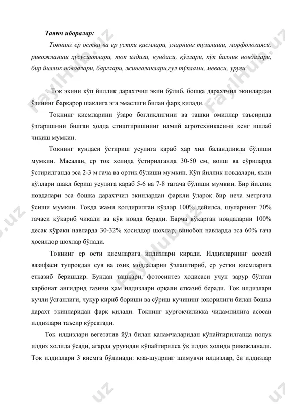 юза-шудринг шимувчи илдизлар, ён илдизлар ва асосий илдизлар. юза илдизлар ер ости кундасининг юқори қисмида пайдо бўлади, асосан тупроқнинг юза, ҳайдалма қаватида жойлашади. улар калта ва нозик бўлади, ҳар йили пайдо бўлиб тупроқнинг юза қисмида жойлашади. ён илдизлар ер ости новдасидан ривожланиб, горизонтал ҳолда ривожланади, улар нисбатан узунроқ бўлади. асосий илдизлар эса энг чуқурда жойлашган бўлиб, асосий вазифани бажаради. токда асосий илдизларни кучли ўстириш учун, тажрибада юза илдизлари олиб ташланади. ток илдизлари бир неча тартибгача шохланади i,ii,iii ва ҳ.к. ток илдизлари тузилишига кўра ва бажарадиган функциясига қараб скелет ва ўсувчи илдизларга бўлинади. ўсувчи илдизлар эса ёш, попук ҳолда, нозик, оқ рангда бўлади ва тупроқдан сув ва озиқ моддаларни ўзлаштириб олади ва уларда органик моддалар синтезланади. илдизларнинг ри-вожланишига тупроқ шароити катта таъсир қилади. юмшоқ ва унумдор тупроқли ерларда улар яхши ривожланиб, унумсиз шағал-тошли, шўрланган ва ботқоқ тупроқли ерларда илдиз тизими заиф ривожланади. ерни экишдан олдин сифатли тайёрлаш ток илдиз тизимининг тез …