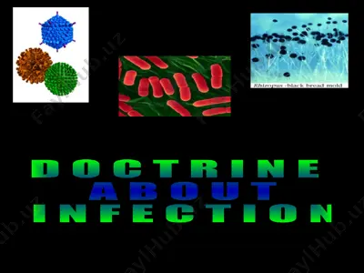 doctrine about infection — PPTX