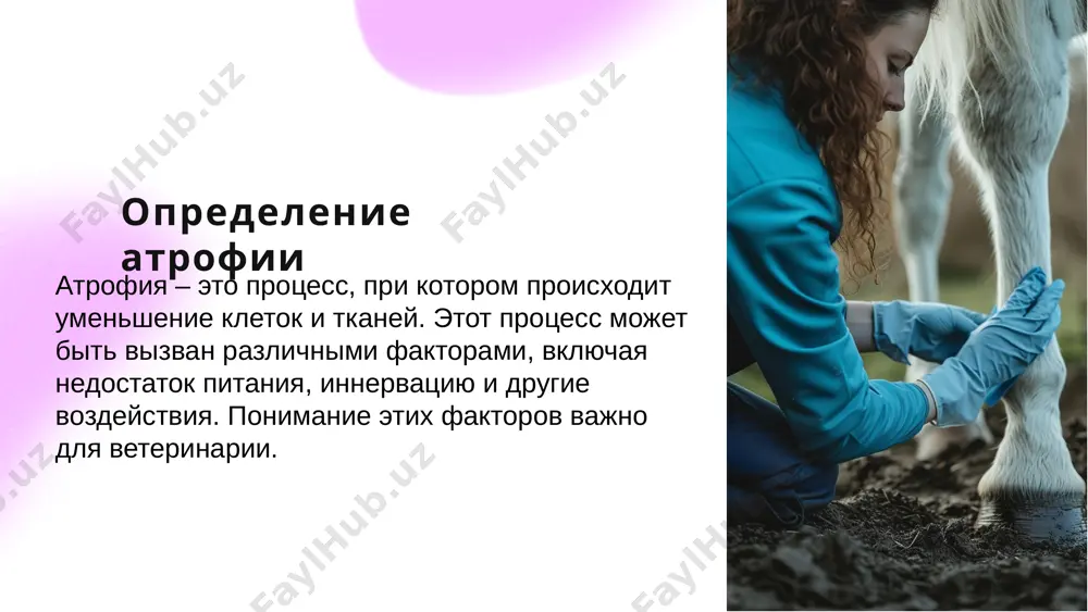 атрофия и ее виды - Page 3