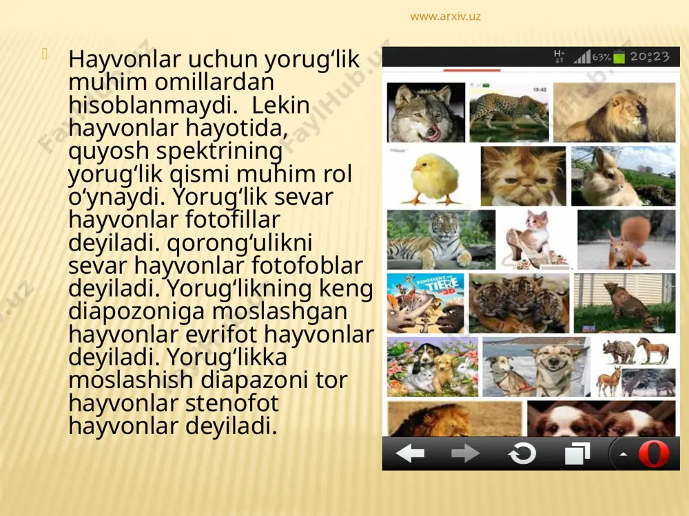 hayvon organizmining turli fiziologik faoliyatini o`rganish usullari - Page 5