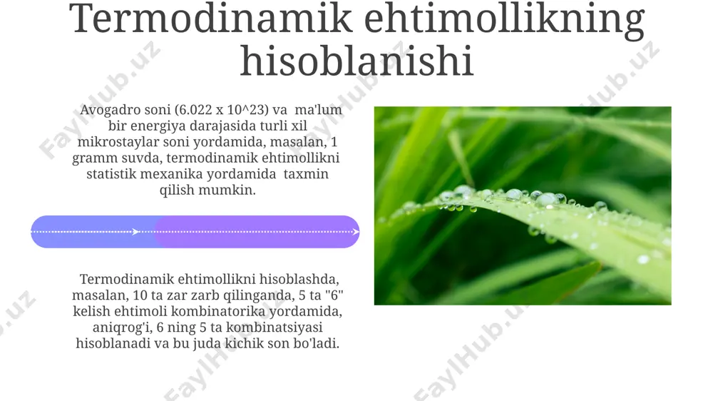 makro va mikroholatlar, hamda termodinamik ehtimolik - Page 4