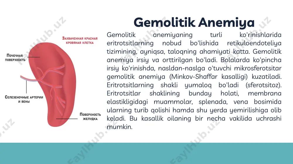 bo'lib, bu kasallik autosom-dominant va autosom-retsessiv ko'rinishda nasldan-naslga o'tadi. klinik manzarasida holsizlik, anemiya, gemorragiyalarning belgilari, jismoniy o'sishdan orqada qolish kuzatiladi. kasallik o'tkir turining oqibati fojiali tugaydi. bu kasallikning suyaklarda uchraydigan ko'rinishi ham mavjud bo'lib, oyoqlarda, suyakda og'riq bo'lishi bilan ifodalanadi. davolash: maxsus davolash tadbirlari yo'q. splenektomiya esa simptomatik davolash tadbiri hisoblanadi va bu bilan eritropoez, leikopoez, trombotsitlar sindromi kamayadi va bemorning umri uzayadi (v. v. gavryushov, 1989). thank you! image1.png image2.png image3.png image4.png image5.png image6.png image7.png image8.png image9.png image10.png image11.png image12.png image13.png