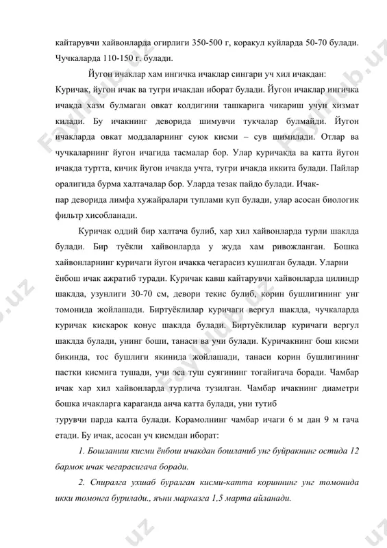 мон боради, кейин олдинга, сунгра орка томонга утиб тугри ичакка кушилиб кетади. кавш кайтарувчи хайвонларнинг чамбар ичаги корин бушлигининг унг томонида жойлашади. биртуёкли хайвонларда чамбар ичак жуда яхши риводланган булиб, иккига: катта чамбар ичак ва кичик чамбар ичакка булинади. катта чамбар ичак яхши ривожланган така шаклида булиб, корин бушлигида жойлашади. кичик чамбар ичак катта чамбар ичакка караганда анчагина ингичка булиб кенг пардасига осилиб туради. кичик чамбар ичакда иккита: юкориги ва пастки тасма ва икки катор халтача булади. тугри ичак – ичакларнинг энг калтаси булиб, тос бушлигида жойлашади. унинг учи орка чикарув тешигига бирлашади. тугри ичак ва орка чикарув тешиги уз атрофидаги органларга куйидаги мускуллар ёрдамида бирлашади: тугри ичак ва дум мускули толалари хар томонда булиб, биринчи дум умурткасига бирлашади. орка тешигини кутариб турувчи мускул – силлик мускул тукимасидан тузилган. орка чикарув тешиги – овкат хазм килиш органларининг энг охири булиб, тезак массани вактинча саклаш ва чикариш учун хизмат килади. орка …