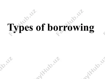 types of borrowing — PPTX
