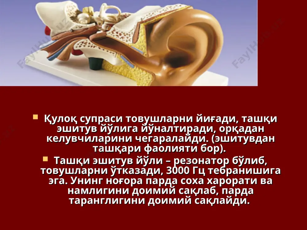 эшитиш ва вестибуляр анализаторларининг физиологияси - Page 5