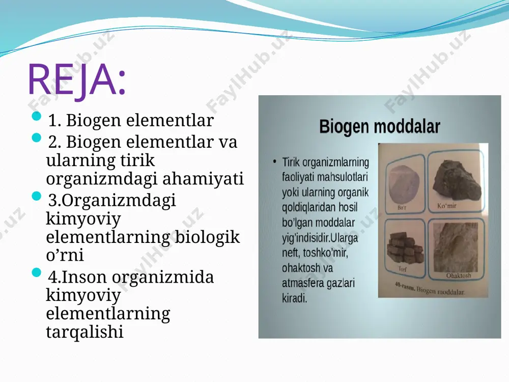 a tez chalinadi. rux — organizmda co2 hosil bo‘lishi va oqsillarni o‘zlashtirilishida muhim ahamiyatga ega. rux yetishmasligi oqibatida g‘alladoshlar, sabzavotlar va makkajo‘hori kasalliklarga tez chalinadi. molibden — azotning o‘zlashtirilishida va organizmdagi oksidlanish-qaytarilish jarayonlarida o‘z o‘rniga ega . molibden — azotning o‘zlashtirilishida va organizmdagi oksidlanish-qaytarilish jarayonlarida o‘z o‘rniga ega. molibdenli mikroo‘g‘itlar molibden — azotning o‘zlashtirilishida va organizmdagi oksidlanish-qaytarilish jarayonlarida o‘z o‘rniga ega . molibden — azotning o‘zlashtirilishida va organizmdagi oksidlanish-qaytarilish jarayonlarida o‘z o‘rniga ega. molibdenli mikroo‘g‘itlar ftor — tirik organizmlar suyak to‘qimalarining hosil bo‘lishi va o‘sishida juda zarur elementlardan biri hisoblanadi. tishlar ularda ftor miqdori kamayganda nuray boshlaydi. ftor — tirik organizmlar suyak to‘qimalarining hosil bo‘lishi va o‘sishida juda zarur elementlardan biri hisoblanadi. tishlar ularda ftor miqdori kamayganda nuray boshlaydi. organizmdagi kimyoviy elementlaming biologik o‘rni organizmda makroelementlaming asosiy vazifasi to‘qimaiarni hosil qilish, shuningdek osmotik bosimni, ion va kislota-asos tarkibini me'yorida ushlab turishdir. mikroelementlar esa fermentlar, gormonlar, vitaminlar, biologik faol moddalar tarkibiga …