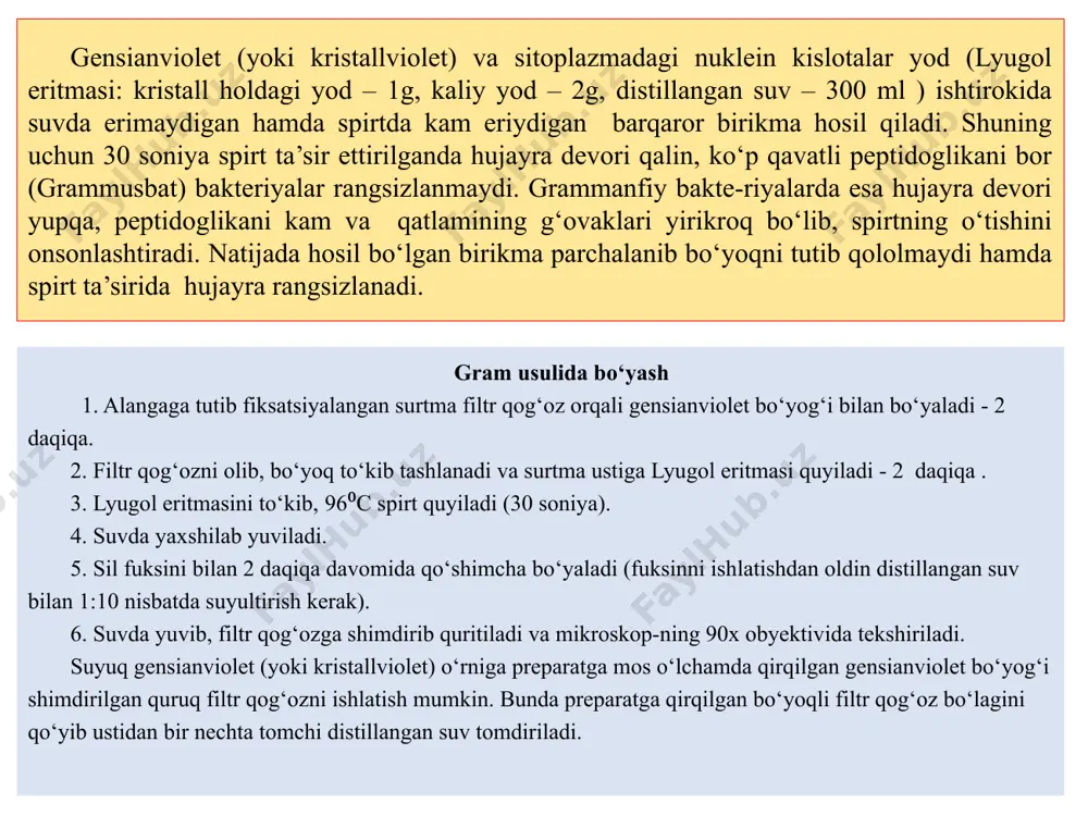 preparatlarni gram usulida bo’yash - Page 5