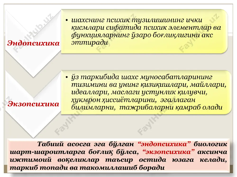 шахс - Page 5