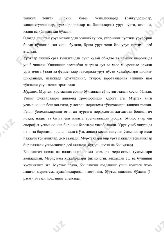 тки қис-ми илдиз бўйинчаси, илдиз бўғизи деб аталувчи қисм ор-қали муртак илдизчаси билан туташади. муртак илдизча уни қоплаб турадиган илдиз қинчасидан иборат. уруғпалла билан биринчи куртак оралиғи эпикотиль (юнон. эпи — устида) деб аталади. очиқуруғли (нинабаргли)ларнинг уруғида ўнтагача уруғпаллалари бўлади. уларнинг муртаги гипокотиль ва куртакча ҳамда кичкина илдизчадан иборат. куртакчада ўсиш нуқтаси ва ўнта ингичка уруғпаллалар мавжуд. кур-так ўсганда бу уруғпаллалар дастлабки ўнта ипсимон, ни-набаргларга айланади. эндосперм — озиқ моддали тўқима бўлиб, ўсимликнинг уруғида ривожланади. эндосперм қўшалоқ уруғланиш на-тижасида муртак халтасининг диплоидли марказий ҳужай-расидан ҳосил бўлади ва триплоид ҳужайралардан иборат. демак, уруғнинг муртаги ва эндосперми бир-биридан кес-кин фарқ қилади. баъзи ўсимликларда масалан, бирпал-лалилардан буғдой, пиёз, лола, пиёзгул ва бошқаларда уруғ муртаги шу даражада кичик бўладики, уруғнинг деярли бутун ички қисмини эндосперм (оқсил) эгаллайди (2-расм). бу хилдаги уруғлар эндоспермли уруғлар деб ата-ладй. эндоспермли уруғлар кўпинча бирпаллалилар (ғалла-гулдошлар, пиёзгулдошлар), иккипаллали ўсимликлардан итузумдошлар, соябонгулдошлар, сутламадошлар (канакун-жут)да учрайди. кўпгина ўсим-ликларда, аксин-ча, муртак ўсиб, эндоспермни …