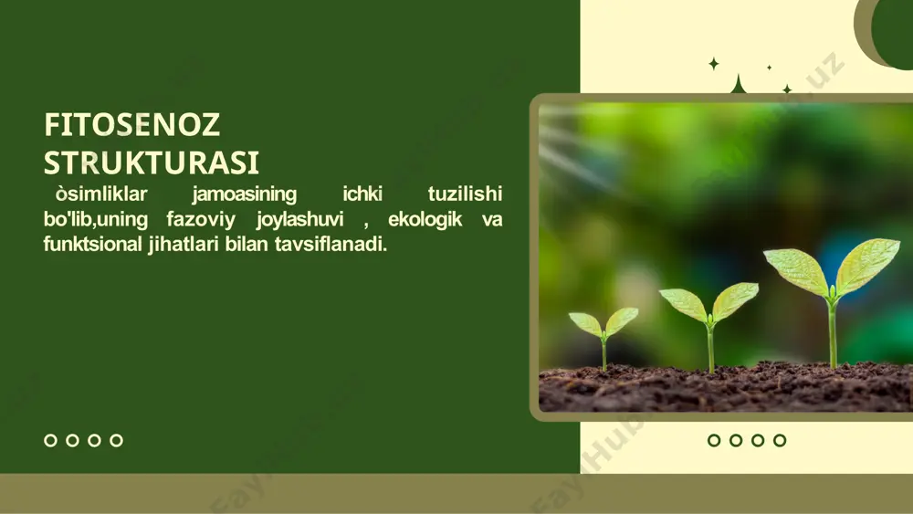 fitosenoz strukturasi - Page 3