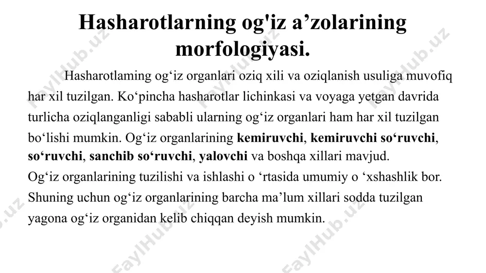 pastki jag’lar boshqacha tuzilgan. 1-juft jag’larning o’simtalari kuchli rivojlangan va cho’zilgan, jag’ paypaslagichlari esa reduksiyaga uchragan. 2-juft pastki jag’larning ichki o’simtalari birga qo’shilib, tilcha deb ataladigan nayga o’xshash o’simtani hosil qiladi. tilcha ustiga 1-juft jag’larning o’simttalari kelib tushganida gul nektarini so’rishga moslashgan naycha hosil qiladi. yuqori jag’lar oziqlanishida ishtirok etmaydi ular yordamida ishchi arilar gul changini yig’adi, mumdan katakchalar yasaydi, voyaga yetgan qurtlar esa katakchalar devorini teshadi. kapalaklarning so’ruvchi og’iz organi- hartumi ham suyuq nektar bilan oziqlanishiga moslashgan, lekin kemiruvchi-so’ruvchi og’iz organiga nisbatan kuchli o’zgargan. bu tipdagi og’iz organida yuqori lab, yuqori jag’lar va pastki lab (2-maksillalar) reduktiyaga uchragan. pastki lab faqat plastinkadan iborat bo’lib, unda uch bo’g’imli pastki lab paypaslagichlari joylashgan. 1-juft jag’larning har qaysisi uzun tarnovaga o’xshash o’simtaga aylangan. bu o‘simtalar bir-birining ustiga taxlanganida tarnovchalar berk nayni hosil qiladi. xartum kapalakning boshi ostida spiralga o‘xshash o ‘ralgan bo’ladi. sipiral yozilib hartum nectar so’rish uchun gul ichiga kiradi. xartumning …