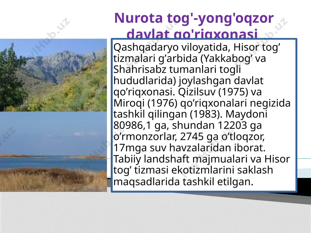qoploni, qo’ng’ir ayiq, tog’ echkisi, yelik, tulki, bo’rsiq, qobon (yovvoyi cho’chqa) va b., qushlarning 140 dan ortiq turi — bedana, qirg’iy, qora laylak, kaklik, qumri va b. (qushlardan qora laylak, qirg’iy uya qurib bola ochadi), umurtqasizlarning 19 turi uchraydi. mazkur qo‘riqxonada o‘simliklarning 1132 ta turi uchraydi va ularning bir qanchasi o‘zining noyobligi tufayli “qizil kitob”ga kiritilgan. hayvonlarning esa 1000 dan ortiq turi qo‘riqxonada saqlanadi. qo'riqxonaning hayvonot dunyosi boy va turli-tumandir. bu yerda ayiq, taka, bo'rsiq,tulki, to'ng'iz, sug'ur, jayron, kaklik, burgut, ilonlar uchraydi. bundan tashqari qorako'zli kaltakesak, toshb~qa, maydontolning ba'zi joylarida sibir tog' echkilari mavjud. sudralib yuruvchi hayvonlaming 9, qushlaming 93, sutemizuvchilaming 23 turi mavjud. baday-to'qay qo'riqxonasi 1971 yilda tashkil topgan. o'sha yili 26-aprelida bu hududdagi to'qay o'rmonlar hamda hayvonot olamini saqlash maqsadida hukumat tomonidan farmon qabul qilingan edi. boshida toldiq-to'qay degan o'rmonli hudud ham bu davlat qo'riqxonasiga kiritilgan edi. biroq beruniy tumani kotibi bu hudud 225 iqtisodiy tabiat resursini tashkil …