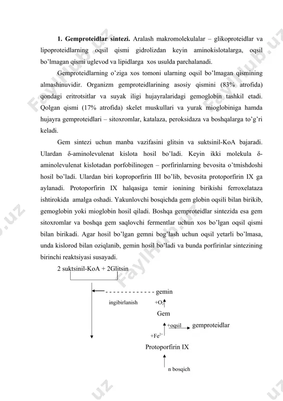 bosqich δ-aminolevulenat kislota koproporfirinogen iii mitoxondriya - - - - - - - - - - - - - - - - - - - - - - - - - - - - - - - - - - - - - - - - - - - - - - - - - - - - - n bosqich sitoplazma porfobilinogen koproporfirin iii gem biosintezida ishtirok etuvchi fermentlar suyak iligida, yadroli eritrotsitlar, jigar, buyrak, ichak shillig’ida bo’ladi. δ-aminolevulenat kislota sintezi reaktsiyasi mitoxondriyada, porfobilinogen hosil bo’lishi va undan koproporfirin iii ning sintezlanishi sitoplazmada, koproporfirinogen iii dan gemning sintezlanishi yana mitoxondriyada boradi. 2. gemproteidlarning parchalanishi. bir sutkada odam organizmida 9 g atrofida asosan eritrotsitlar gemoglobinidan hosil bo’lgan gemproteidlar parchalanadi. eritrotsitlar taxminan 120 kundan keyin qonda yoki taloqda parchalanadi. qonda eritrotsitlardan ajralib chiqqan gemoglobin gaptoglobin (plazmaning maxsus α2 –globulini) bilan bog’lanadi va gemoglobin-gaptoglobin kompleksi ko’rinishida taloqning retikuloendotelial sistemalari (res) hujayralariga o’tadi. …