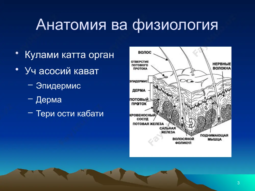 окотомик найча куплари. буйин жарохати кучли кон кетиш хавфи катта томирлардан хаво эмболия хавфи . ук билан жарохатланиш жарохат хусусий тури ундан булган энергия ук ….. узоклашган сохани шикастланиш ук йуналишни узгартирни мумкин огирлигини бахолаш кийин куйиш эпидемиология  акуйишда шикастланиш куп учраши: хаётнинг биринчи йиллари 20-29 ёшларда  огир куйишдаги шикастланишлар куп учраши 20-29 ёшда 9 ёшгача болаларда  эркакларда огир куйаш шикастланишлар купрок учрайди (67%)  терини физик, химик ва электрик таъсирида шикастланиши улимга, тиртикланишга, ногиронликга келтириш мумкин  1,25 млн куйиш харйили  45,000 йилига госпитаизация этилади  4500 йлимлар (3750 уйлар йниши) 3 чи бахтсиз ходиса окибатида энг куп учрайдиган сабаб хавфли омиллар епиш  утучурувчилар  ишлаб чикаришидаги ишчилар кимёвий таъсирлар электрик таъсирлар  электриклар  подстанция ишчилари тери шикастланиши уни йуколиши билан ва бошка бузулишлар билан характерланади  сув миёрий боланини ушлаб туриш нокобилиятлиги дегидратация, шок терморегуляция бузилиши гипотермия  инфекция сепсис булиши асоратлар …