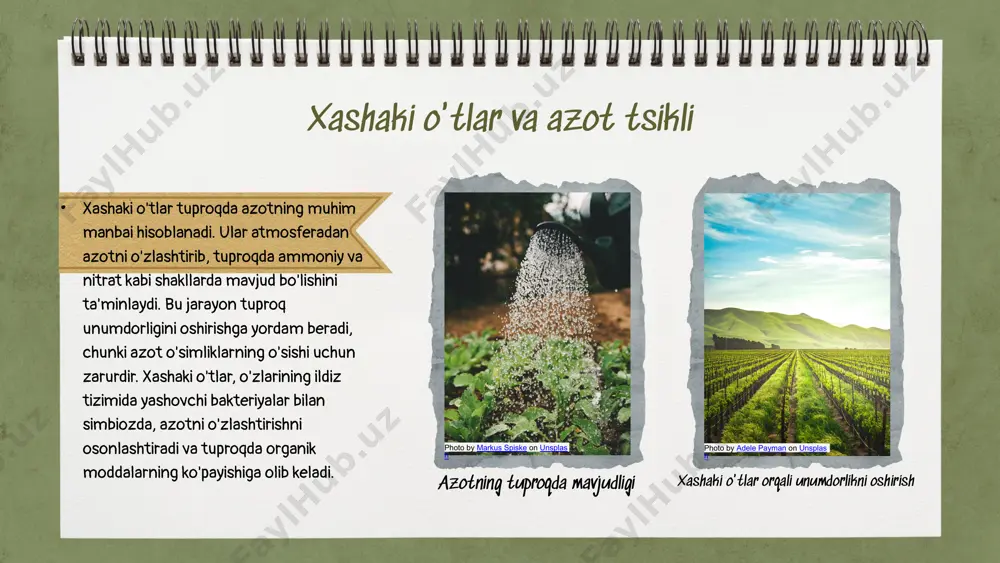va parvarish sharoitlariga muvofiq tanlanishi kerak. ekish jarayonida o'simliklarni joylashtirish va parvarish qilishni to'g'ri rejalashtirish zarur. xashaki o'tlarni ekishda, ularni bir-biridan masofali joylashtirish kerak, dukkakli o'tlar esa ko'p ekish orqali tuproqni yanada unumdor qiladi. parvarish jarayonida suv berish va o'g'itlashni tartibli amalga oshirish muhimdir. o'simliklarning o'ziga xos xususiyatlarini, masalan, ulardagi azot miqdorini va ildiz tizimini hisobga olish, samarali tanlov qilishda yordam beradi. xashaki o'tlar, masalan, o'simliklarning suv va azot miqdorini oshiradi, dukkakli o'tlar esa tuproq unumdorligini kuchaytiradi. tuproq unumdorligini oshirish usullari tuproqni oziqlantirish, sirtni saqlash va ekin aylanishi kabi usullar tuproq unumdorligini oshirishda muhim rol o'ynaydi. bu usullar nafaqat tuproqning sog'lig'ini saqlash, balki ekin hosildorligini ham yaxshilashga yordam beradi. tuproq unumdorligini oshirish uchun bir qator usullar mavjud. tuproqni oziqlantirish, organik va mineral o'g'itlar bilan boyitish, sirtni saqlash va ekin aylanishi uning sifatini yaxshilaydi. ekin aylanishi tuproqdagi zararkunandalar va kasalliklarni kamaytirishi, tuproq tuzilishini yaxshilashi va unumdorligini oshirishi mumkin. bu usullarni to'g'ri …