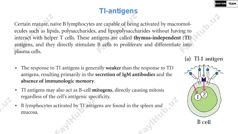 immunologiya darsi - 7 - Page 4