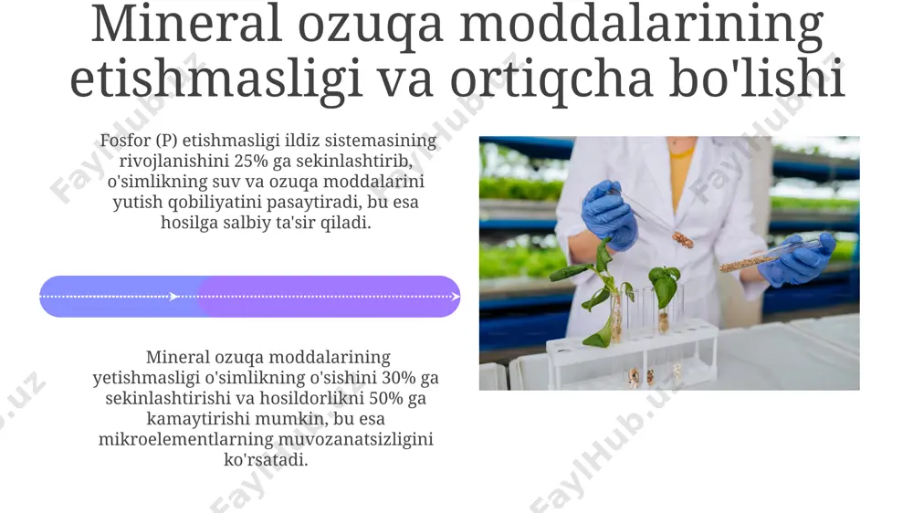 oʻsimliklarda ozuqa moddalarining yutilish jarayoni - Page 4