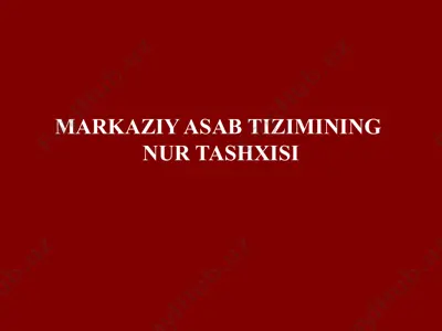 markaziy asab tizimining nur tashxisi — PPTX