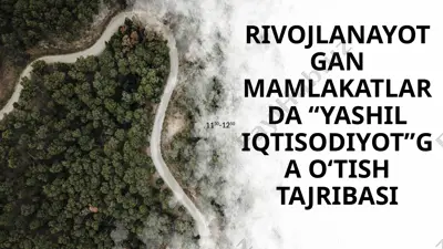 “yashil iqtisodiyotga o‘tish tajribasi” — PPTX
