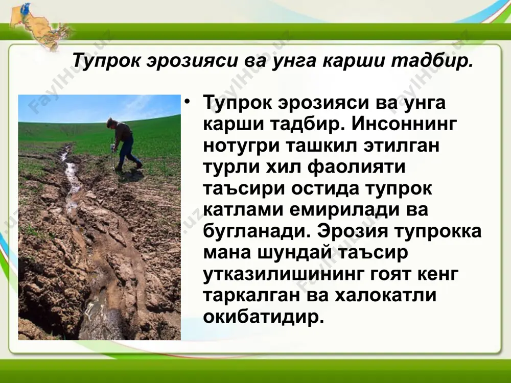 кин. шуни кайд этиш керакки, эрозия жараёнлари тупрокдаги экосистемалар биомассасига фойдаланилган куёш энергияси микдорига хам таъсир утказади эрозия жараёнлари натижасида атмосферада, гумусда ва тупрок таркибидаги микробларда ютилган куёш энергиясининг 30-50 фоизи ва ундан купроги йукотилади, тупрокда содир буладиган биологик, тупрок жараёнларининг интенсивлиги асосан куёш энергиясининг захиралари ва у сочаётган нур куринишининг узгаришлари билан боглик эканлигини эътиборга олганда эрозия томонидан экосистемага етказиладиган зарар микёсларини тасаввур этиш мумкин. нураб емирилган ва эрозияга учраб турадиган ерларда дехкончилик билан шугулланиш киммат туради. бундай ерларга ишлов бериш, экин экиш, хосилни йигиштириб олиш, угит солиш кимматга тушади, эрозия натижасида улар ювиб кетилиши мумкин. хосил оз ва сифати паст, чорвачилик махсулотлари хам кам булади ва хоказо. озик - овкат махсулотлари етиштиришнинг имконияти камайиши давлат учун энг катта зарар хисобланади. масалан, олимларнинг хисоб - китобларига кура, эорзияга учраган ерларда хар йили ялпи дехкончилик махсулотининг 20 фоизга кадар нобуд булмокда, республика 200 минг тоннага якин пахта ва бошка кишлок …