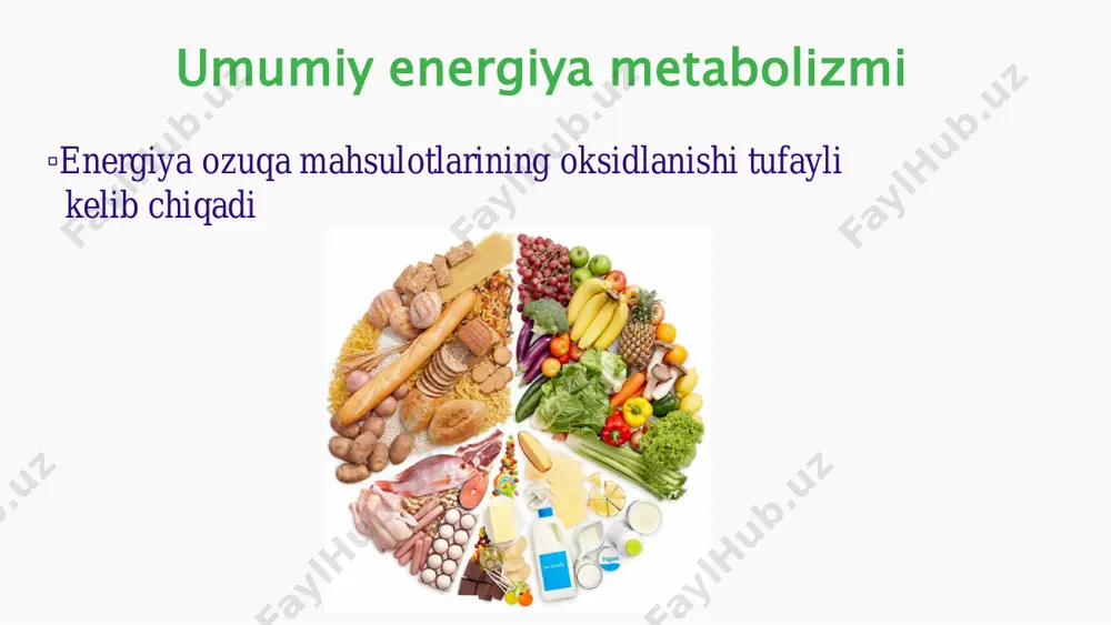 ari qisqa davom etuvchi, yuqori intensiv harakatlarda qatnashadi. tez charchaydi • enegiya zaxirasi sifatida glikogen toʻplaydi. anaerob glikoliz yoʻli bilan glukozani parchalaydi • sekin qisqaruvchi muskul tolalar qoʻl va oyoqlardagi qon-tomirlar bilan yaxshi taʻminlangan muskul tolasi. uzoq vaqt davom etuvchi, oʻrtacha intensivlikdagi harakatlarda qatnashadi. sekin charchaydi • davomiy mashq vaqti muskul glukoza va yogʻ kislotalarining oksidlanishidan energiya oladi. 1-3 soat oʻtib glikogen zaxirasi tugaydi va faqat yogʻ kislotalarining oksidlanishidan energiya oladi. mashq intensivligi ham shunga mos ravishda kamayadi ▫ yurak muskuli • embrional davrda, asosan, glukozadan • postnatal davrda yogʻ kislotalarning β-oksidlanishi (yurak uchun eng asosiy energiya manbayi)dan foydalanadi • uzoq vaqt ochlik vaqti keton tanachalardan ham foydalanadi • xulosa shuki, yurak uzoq vaqt davom etuvchi jismoniy ish vaqtidagi skelet muskulidek energiya oladi • yurak gipertrofiyasi va yetishmovchiligida glukozaning oksidlanishi ortib, yogʻ kislotalarning β-oksidlanishi kamayadi ▫ miya • miya (tana massasining 2 %ini tashkil etadi) ymh ning 15 %ini, umumiy …