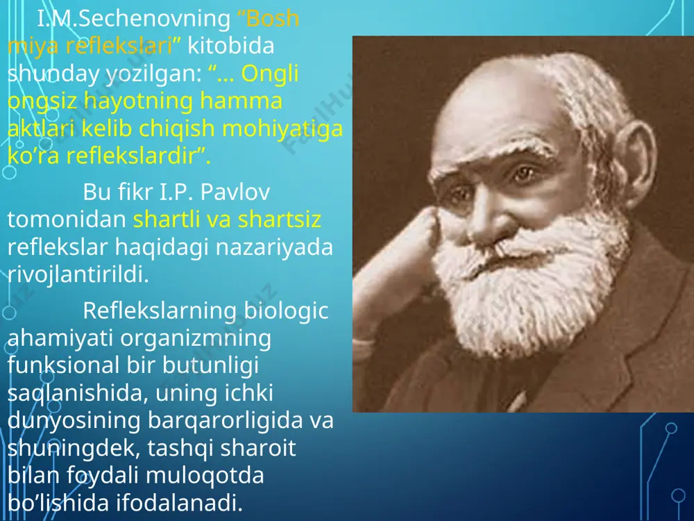 refleks - nerv faoliyatining asosiy shakli - Page 3