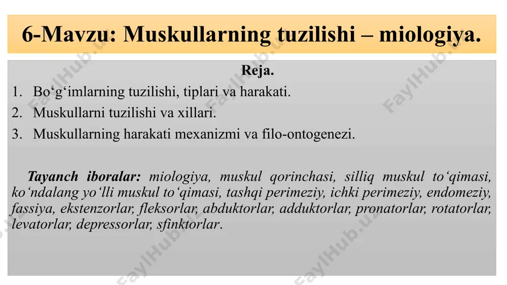 ta muskul tolalariga birdaniga bir qancha haprakatlantiruvchi nerv tolalaridan impuls keladi. muskul to‘qimasi doimiy ravishda taranglashgan holatda bo‘lib, bu muskul tonusi deb yuritiladi. muskul tonusi hayvon xavotirli, qo‘rquv holatda bo‘lganda ortsa, dam olayotganda yoki uxlayotgan vaqtda susayadi. barcha muskullarning qorinchasi hamda suyaklarga birikib turadigan uchlari bo‘ladi. skelet muskullari tashqi tomonda bitta yirik tolaga birikib o‘q hosil qiladi va bu muskullar tananing boshqa qismiga nisbatan harakatni amalga oshiradi. bunga oyoq muskullari misol bo‘ladi. ichki tomonda esa muskul tutami ikki uchiga birlashgan bo‘lib, bu muskullar oyoqning ma’lum belgilangan qismini harakatga keltiradi. tananing har bir sohasida hayvonning norma funksiya ko‘rsatishi uchun ma’lum bir harakat tipini amalga oshiruvchi muskullar guruhi joylashadi. ko‘ndalang – targ‘il muskullar ko‘rinishidan yumshoq va to‘q qizil rangli bo‘ladi. ularning tanada qancha bo‘lishi hayvonlarning zotiga, yoshiga, sog‘lomligiga, yashash sharoitiga bog‘liq. r.shmals ma’lumotiga ko‘ra, tirik vazni 456 kg bo‘lgan otning hamma skelet muskullari 47,4 % ga yaqin bo‘ladi. muskullar sistemasi muskul ishi …