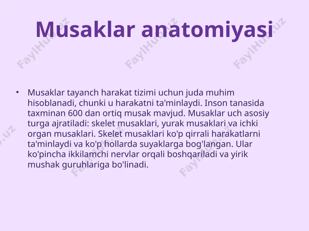 tayanch harakat tizimi normal rentgen anatomiyasi - Page 5