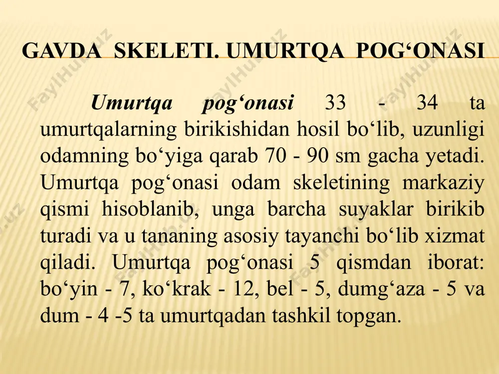 7 ta suyakdan iborat bo‘lib, ular uch guruhga bo‘linadi: tovon suyaklari - 8 ta, shulardan bittasi tizza qopqog‘i suyagidir, oyoq - kaft suyaklari - 5 ta va barmoq suyaklari - 14 ta. odam tik yurishga o‘tishi natijasida oyoq suyaklariga tushadigan massaning ortishi va xilma - xil harakatlarning bajarilishi bu suyaklar funksiyasini oshirib, ularning rivojlanishiga va mustahkamlanishiga sabab bo‘lgan. image3.jpeg image4.jpeg image5.jpeg image6.jpeg image7.jpeg /docprops/thumbnail.jpeg