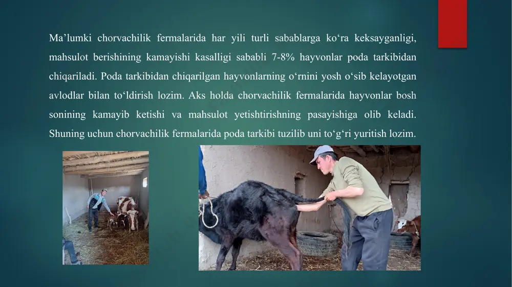 xo’jalikda ozuqa yetishtirish - Page 4