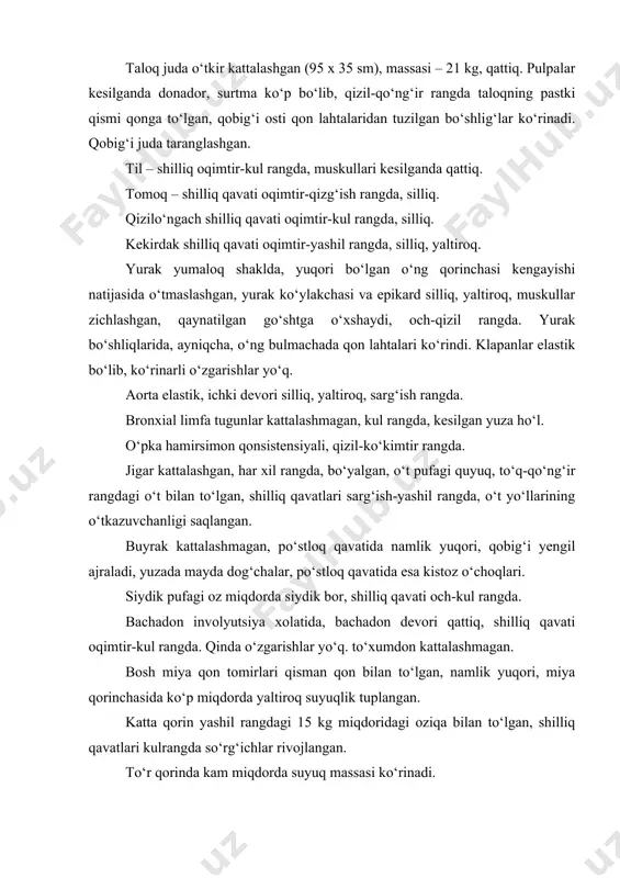 r-kul rangda, muskullari kesilganda qattiq. tomoq – shilliq qavati oqimtir-qizg‘ish rangda, silliq. qizilo‘ngach shilliq qavati oqimtir-kul rangda, silliq. kekirdak shilliq qavati oqimtir-yashil rangda, silliq, yaltiroq. yurak yumaloq shaklda, yuqori bo‘lgan o‘ng qorinchasi kengayishi natijasida o‘tmaslashgan, yurak ko‘ylakchasi va epikard silliq, yaltiroq, muskullar zichlashgan, qaynatilgan go‘shtga o‘xshaydi, och-qizil rangda. yurak bo‘shliqlarida, ayniqcha, o‘ng bulmachada qon lahtalari ko‘rindi. klapanlar elastik bo‘lib, ko‘rinarli o‘zgarishlar yo‘q. aorta elastik, ichki devori silliq, yaltiroq, sarg‘ish rangda. bronxial limfa tugunlar kattalashmagan, kul rangda, kesilgan yuza ho‘l. o‘pka hamirsimon qonsistensiyali, qizil-ko‘kimtir rangda. jigar kattalashgan, har xil rangda, bo‘yalgan, o‘t pufagi quyuq, to‘q-qo‘ng‘ir rangdagi o‘t bilan to‘lgan, shilliq qavatlari sarg‘ish-yashil rangda, o‘t yo‘llarining o‘tkazuvchanligi saqlangan. buyrak kattalashmagan, po‘stloq qavatida namlik yuqori, qobig‘i yengil ajraladi, yuzada mayda dog‘chalar, po‘stloq qavatida esa kistoz o‘choqlari. siydik pufagi oz miqdorda siydik bor, shilliq qavati och-kul rangda. bachadon involyutsiya xolatida, bachadon devori qattiq, shilliq qavati oqimtir-kul rangda. qinda o‘zgarishlar yo‘q. to‘xumdon kattalashmagan. bosh miya …