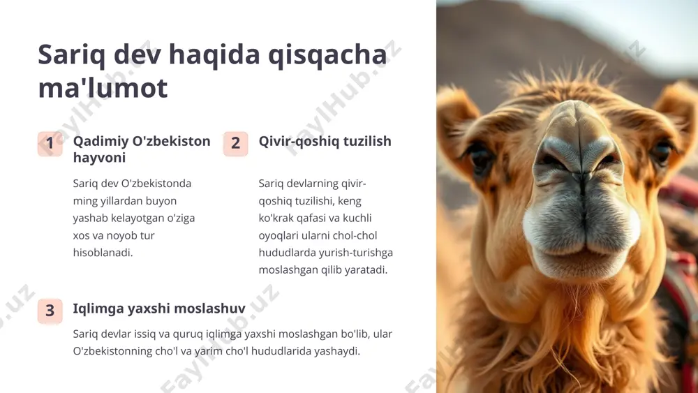 singini milliy an'analar va urf-odatlarga mos tarzda amalga oshirish lozim. 5 sariq devni minish jarayoni mahkam tura olish sariq devni minishda avval uning yoniga mahkam turib olish kerak. engashtirish so'ngra eshkak yordamida sariq devni engashtirish va ustiga olib chiqish lozim. boshqaruv va harakatlanish eshkak va oyoq harakatlari orqali sariq devni boshqarish va xohlagan yo'nalishga harakatlanish mumkin. 6 xulosa va takliflar noyob tajriba sariq devni minish odam uchun juda ajoyib va takrorlanmas tajriba bo'ladi. milliy an'analarni saqlab qolish sariq devlarni saqlash va ularni minish an'analarini avaylash muhim ahamiyat kasb etadi. xavfsizlik talablari sariq devni minish jarayonida xavfsizlik choralari va qoidalariga rioya qilish lozim. 7 image1.png image2.png image3.png image4.png image5.png image6.png image7.png image8.png image9.png image10.png image11.png image12.png image13.png image14.png