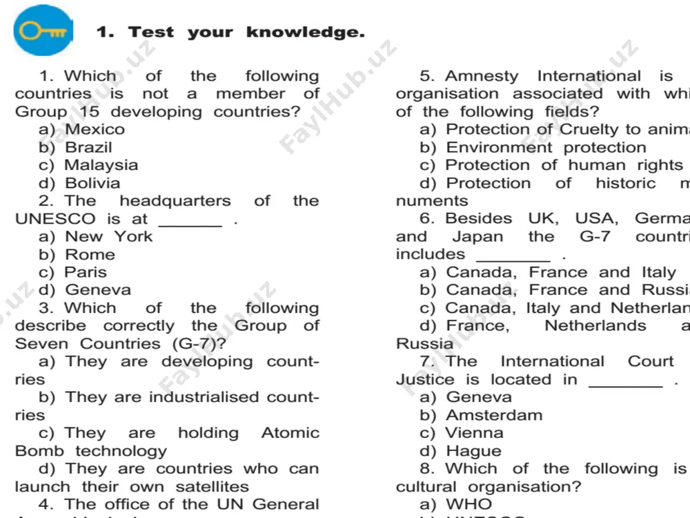 international organizations test - Page 4