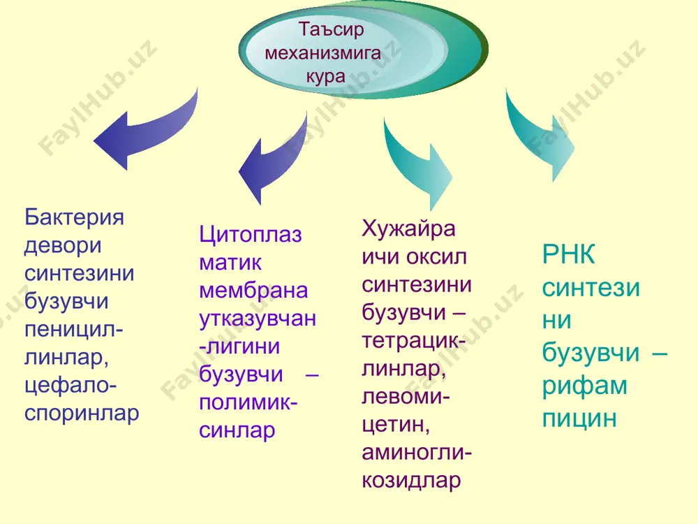 и, чунки микробларнинг чидамлилиги тез ривожланади. кларитромицин (клацид) ва рокситромицин (рулид) хам шу каторга киради. азалидлар - азитромицин (сумамед) стафилакокк ва стрептоккларга нисбатан фаоллиги эритромициндан 2-4 марта паст, лекин инфлюнца ва граммусбат коккларга таъсирига кура устун т1/2=2-4 кун буйраклар оркали узгармаган холда чикиб кетади. хужайра мембранасини бузувчилар полимиксин м сульфат – купроқ грамманфий бактерияларга, бруцеллаларга ва кўкйиринг таёқчасига таъсир этади. микроблар цитоплазматик мембранаси утказувчанлигини бузиб, компонентларни чикиб кетишига олиб келади. микробларни ўрганиб қолиши секин ривожланади. энтероколитлар, шигеллиозлар, жаррохлик амалиёти олдидан санация учун ичга қабул қилинади. йирингли жараёнларда махаллий ишлатилади. салбий таъсирлари: диспепсиялар, суперинфекция, кам холларда аллергиялар. буйрак касалликларида тайинланмайди. антибио тик аллергик ноаллергик салбий таъсир дис бакте риоз мах. китик ловчи жигар функ. суса йиши буйрак функ сусайиши кон ярат. суса йиши 8 жуфт бош мия нервлари фаолияти сусайиши пеницил линлар цефало споринлар макролид лар аминогли козидлар тетрацик линлар левомицетин полимиксин + + + + + + + + + …