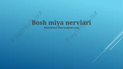 bosh miya nervlari — PPTX