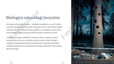 ekologiya sohasidagi jinoyatlar — PPTX