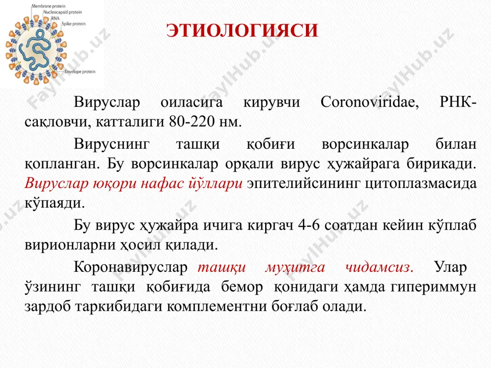 коронавирусли инфекция - Page 5