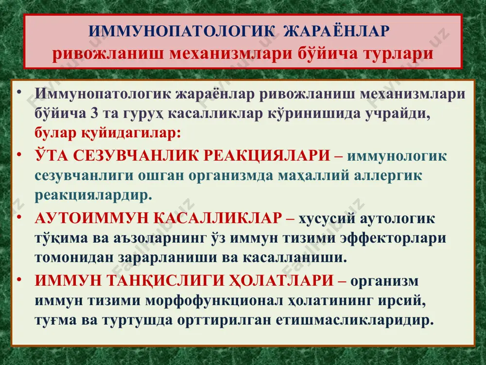 ай-джорджа синдроми номаълум тимус йўқлиги, тетания, т-лимфоцитлар йўқлиги ҳужайрали имму-т етишмаслиги гуморал иммунитет етишмаслиги синдромлари 5.брутон синдроми х-хромосома в-лимфоцитар майдонлар йўқлиги, инфекциялар. гуморал иммун-т етишмаслиги 6.веста синдроми х-хромосома аллергия, аутоиммун касалликлар, ўсмалар iga синтези йўқлиги