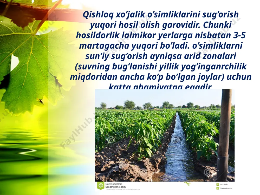 qishloq xo’jaligida sug’orishning fiziologik ahamiyati - Page 3