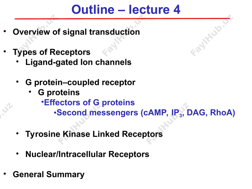 including cell growth and metabolism gpcr-gq-plc-ip3/dag * phospholipase c phosphatidyl inositol 4,5 bisphosphate (pip2) inositol 1,4,5 triphosphate (ip3) diacylglyercerol (dag) increases in intracellular ca2+ activation of protein kinase c phospholipase cβ (plc) phosphatidyl inositol cycle pip2:phosphatidylinositol biophosphate, ip3: inositol triphosphate, dag: diacylglycerol, pa: phosphatidic acid, ip: inositol 1-phosphate, plc: phospholipase c ip3 - releases intracellular ca++ dag - activates protein kinase c pip2 ip3* dag** ip pa plc phosphatases kinases * ip3 and ca2+ release gq plcβ dag ip3 ca2+ ca2+ cellular responses er ligand ip3r intracellular ligand gated ion channel on endoplasmic reticulum – mobilisation of ca2+ from intracellular stores ecf r ip3r ip4?? * actions of increased intracellular calcium muscle contraction (cardiac, skeletal and smooth muscle) (α1-adrenoceptors, muscarinic receptor, endothelin receptor) hormone release immune response – increases t cell proliferation release of neurotransmitters increased force of cardiac muscle contraction triggers migration of pkc to membrane * actions of …